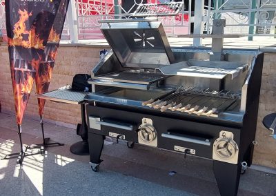 Roaster Grill 2 Posturi